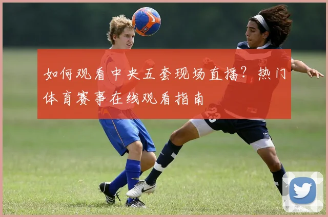 如何观看中央五套现场直播？热门体育赛事在线观看指南