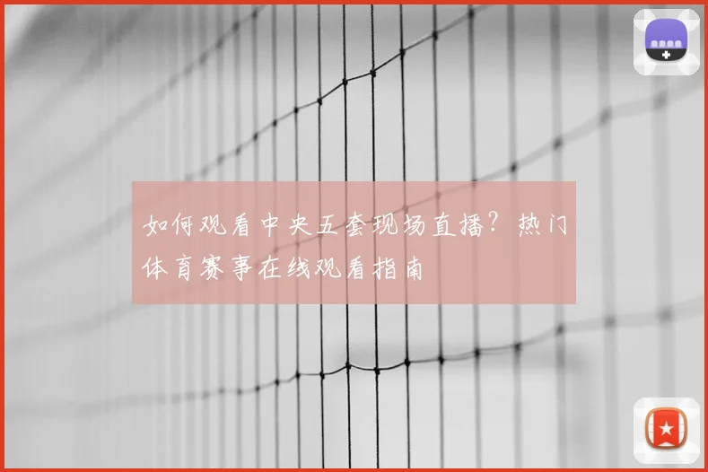 如何观看中央五套现场直播？热门体育赛事在线观看指南