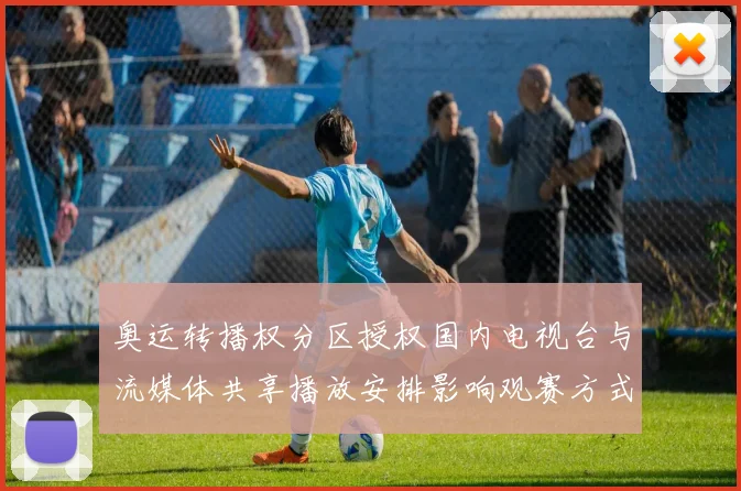 奥运转播权分区授权国内电视台与流媒体共享播放安排影响观赛方式